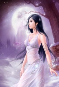 我的完美双胞胎老婆